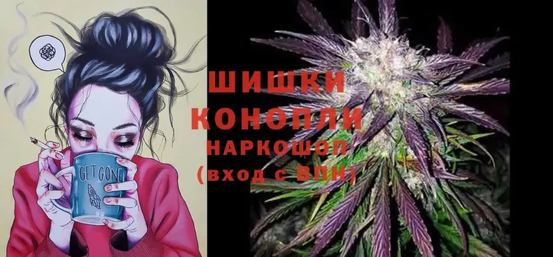 как найти закладки  Новопавловск  Шишки марихуана SATIVA & INDICA 